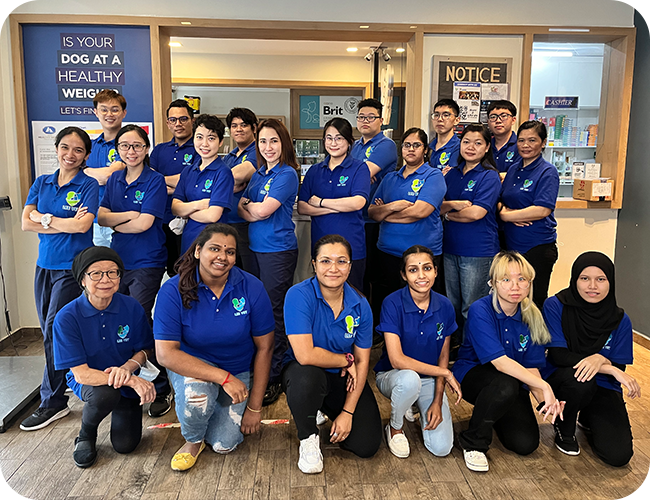 1-LifelongChampionship