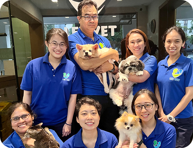 2-ProfessionalCaregiver